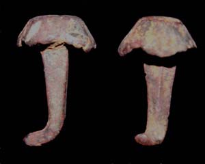 Hob Nails, Duo, c. 1st-4th Cent Hob Nails, Duo, c. 1st-4th Cent